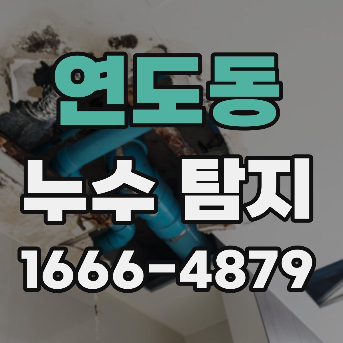 연도동 누수 탐지