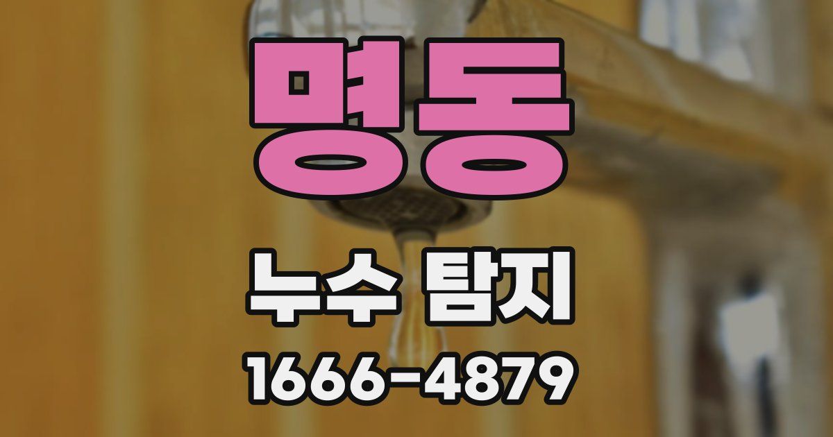 명동 누수 탐지