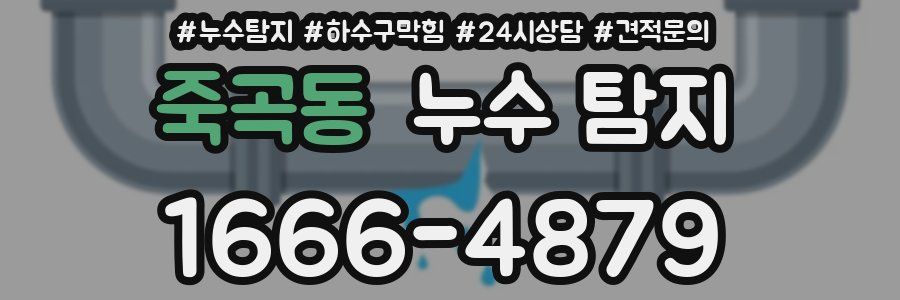 죽곡동 누수 탐지