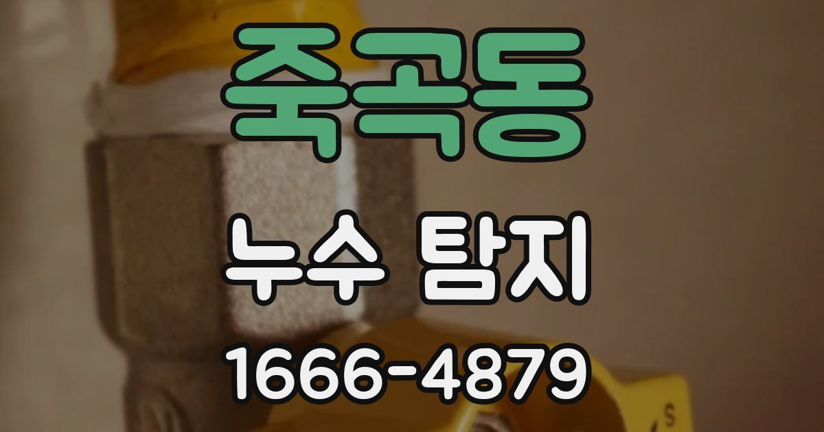 죽곡동 누수 탐지