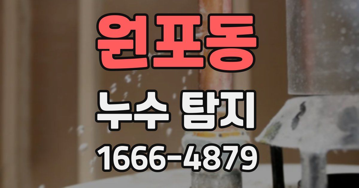 원포동 누수 탐지
