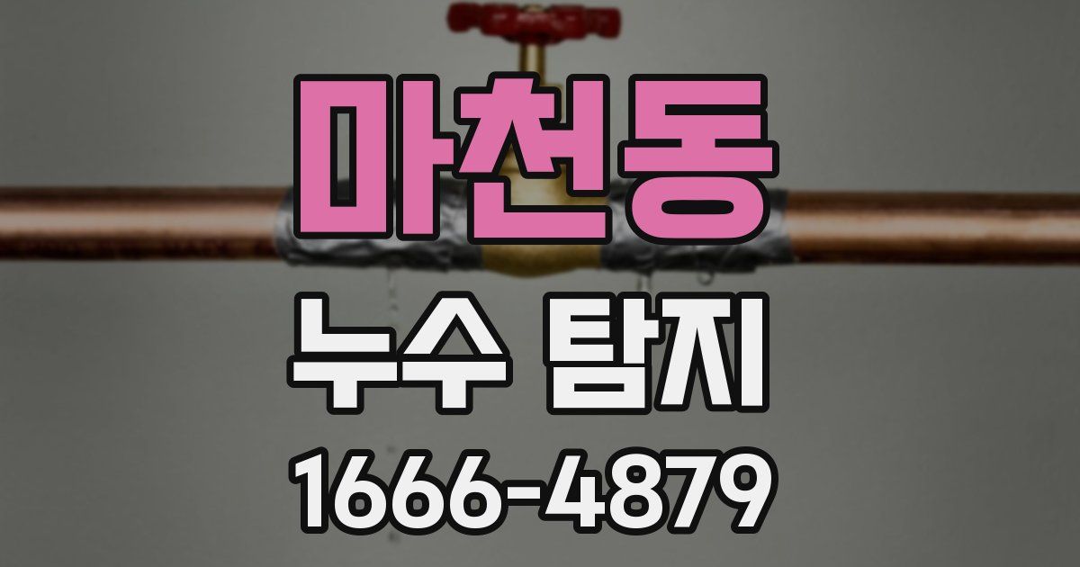 마천동 누수 탐지