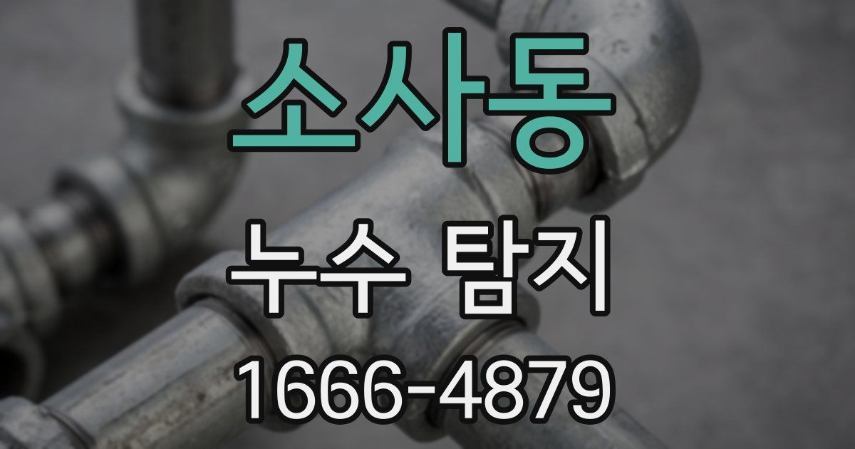 소사동 누수 탐지