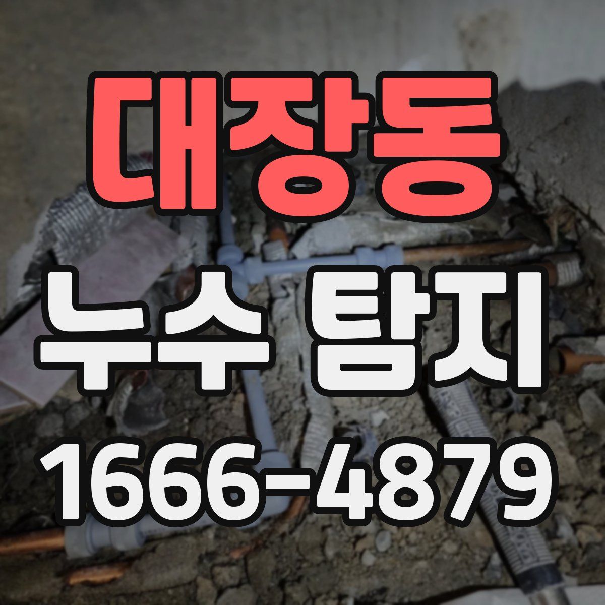 대장동 누수 탐지