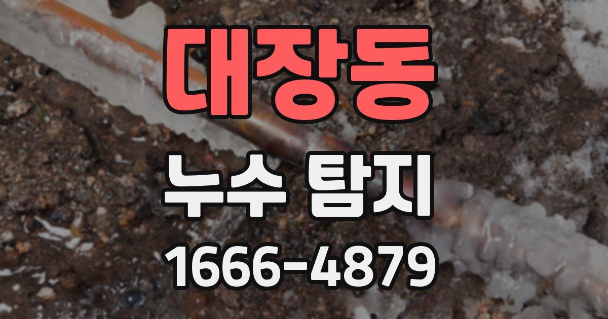 대장동 누수 탐지