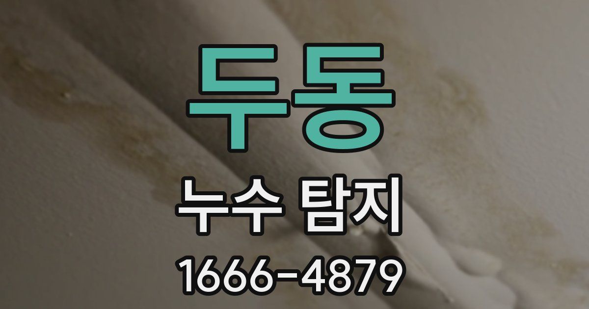 두동 누수 탐지