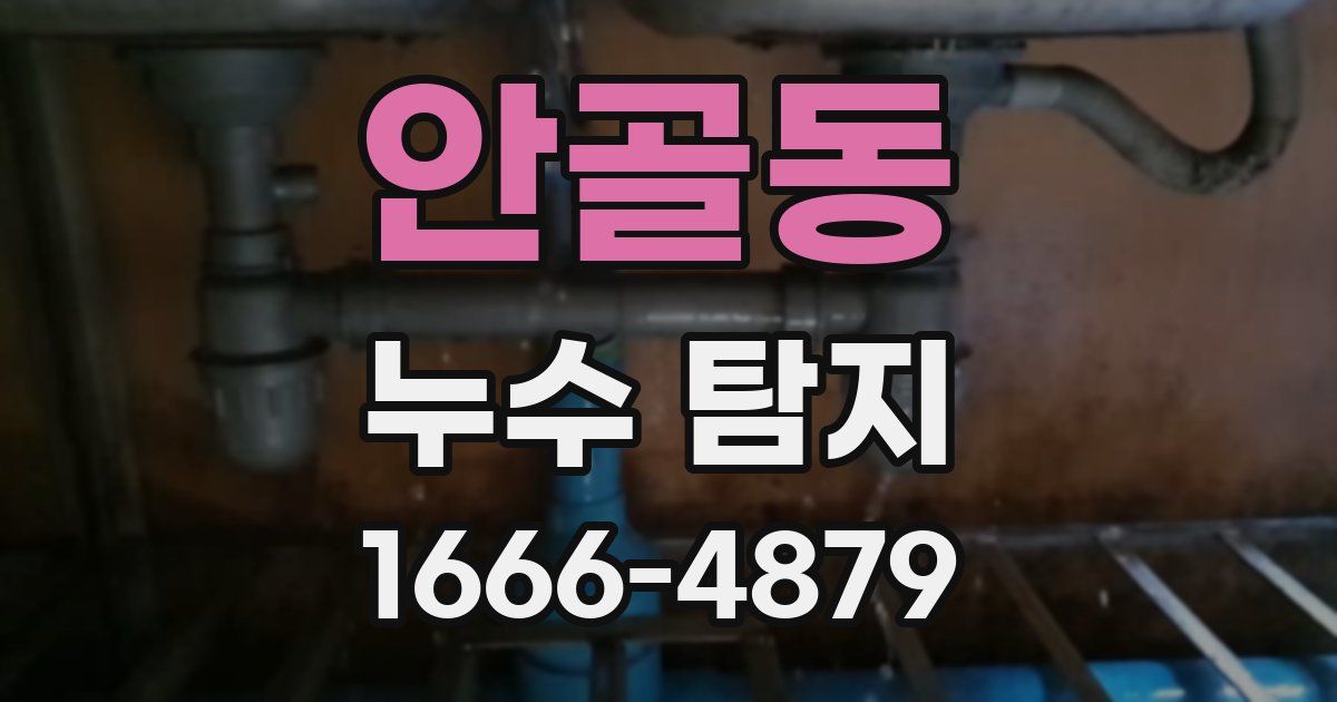 안골동 누수 탐지