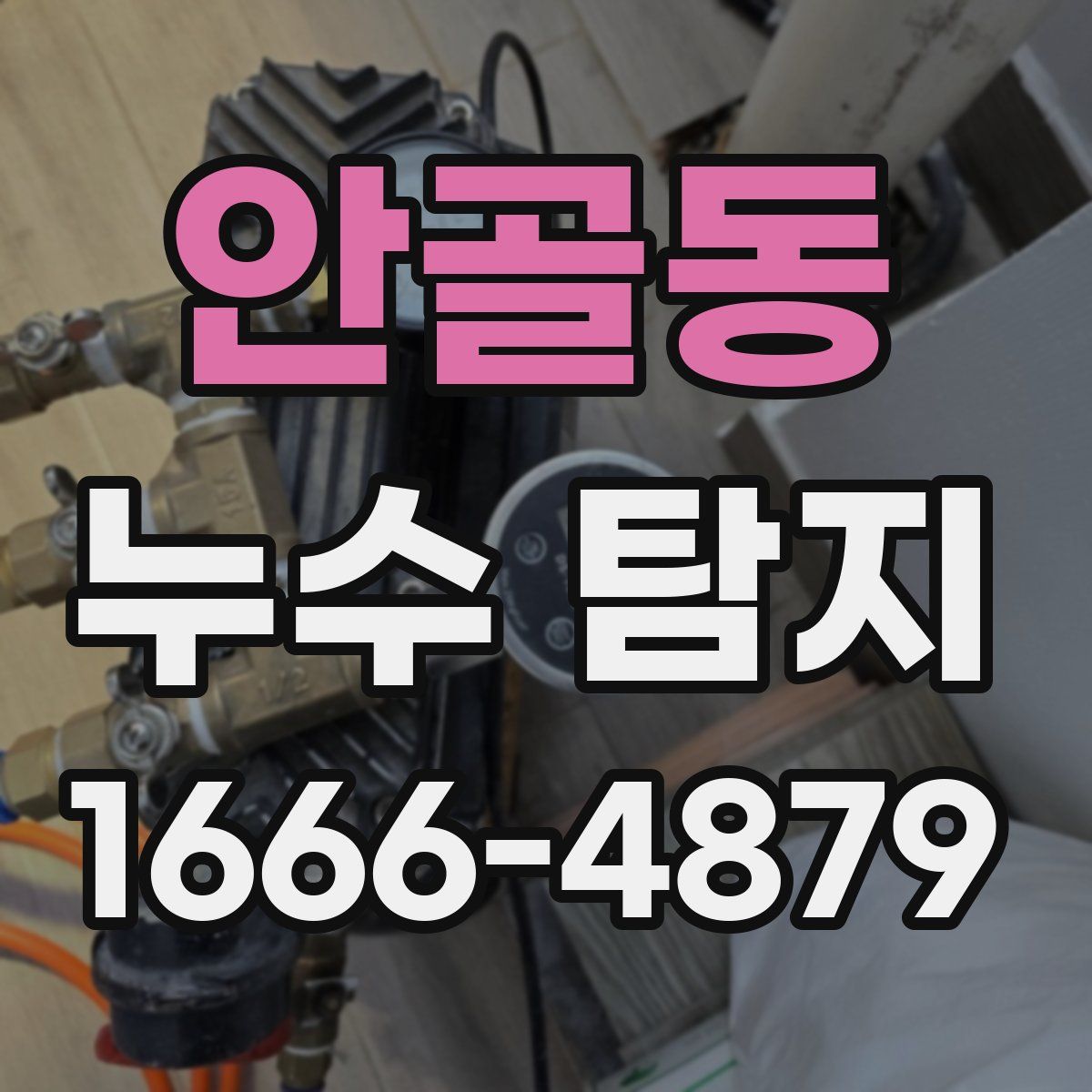 안골동 누수 탐지