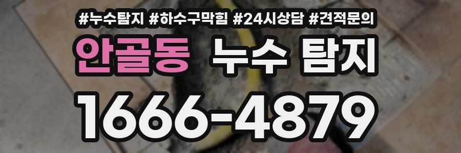 안골동 누수 탐지