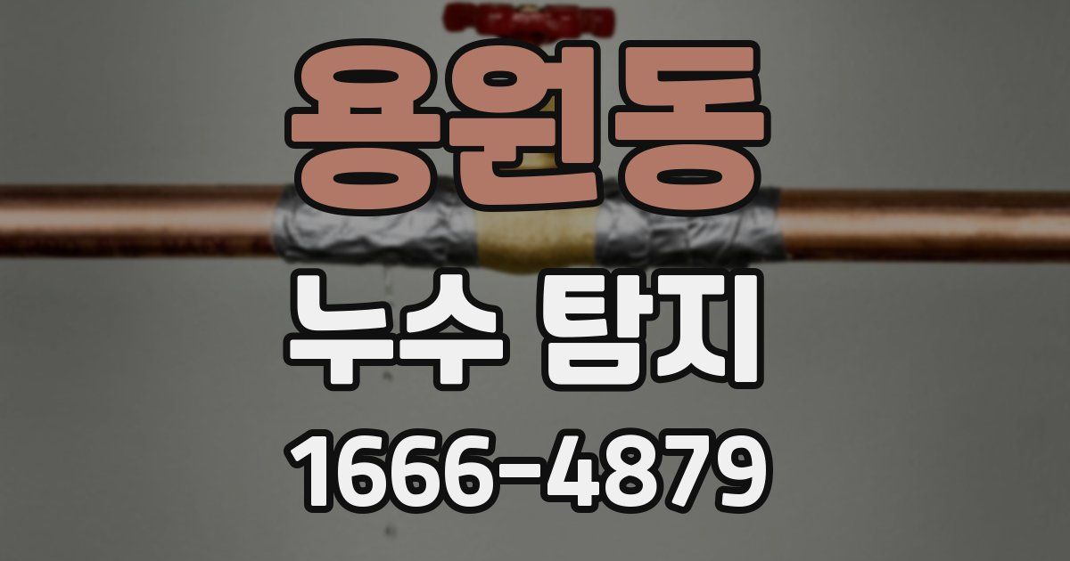 용원동 누수 탐지