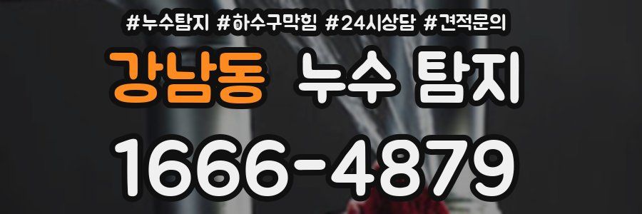 강남동 누수 탐지