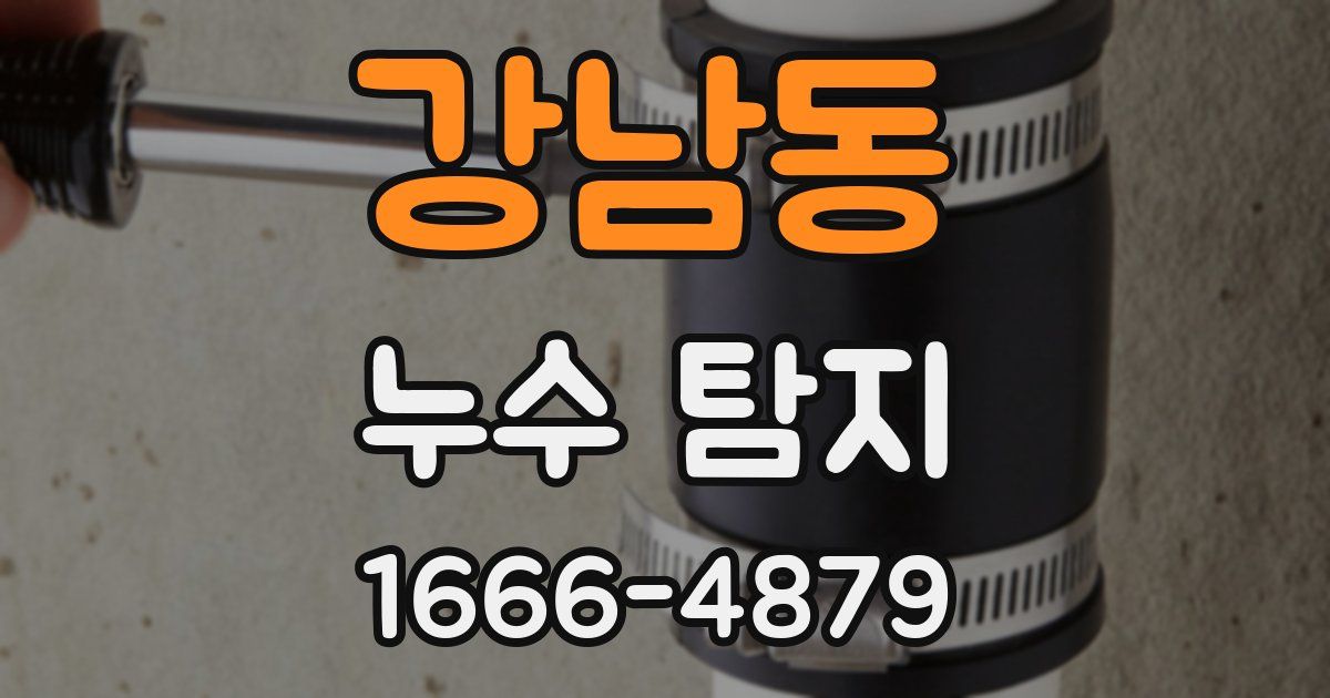 강남동 누수 탐지
