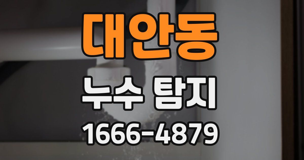대안동 누수 탐지
