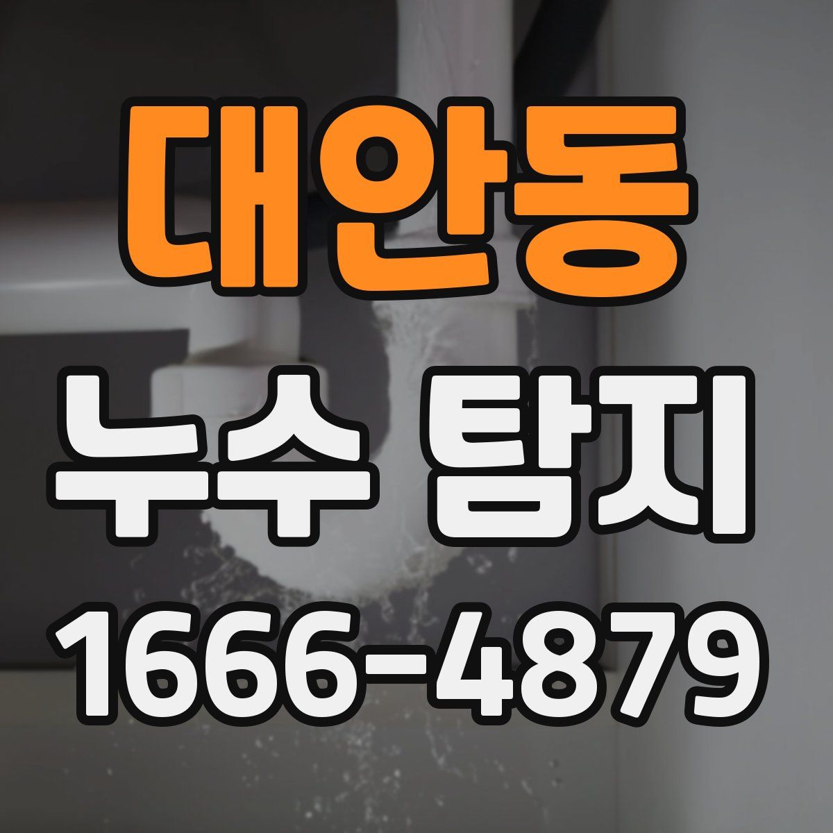 대안동 누수 탐지