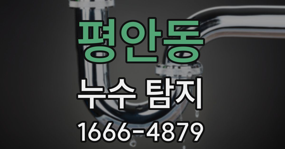 평안동 누수 탐지