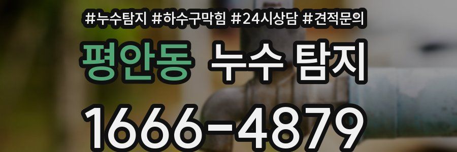 평안동 누수 탐지