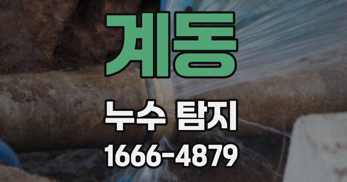 계동 누수 탐지