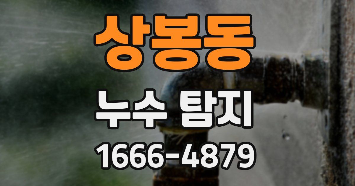상봉동 누수 탐지