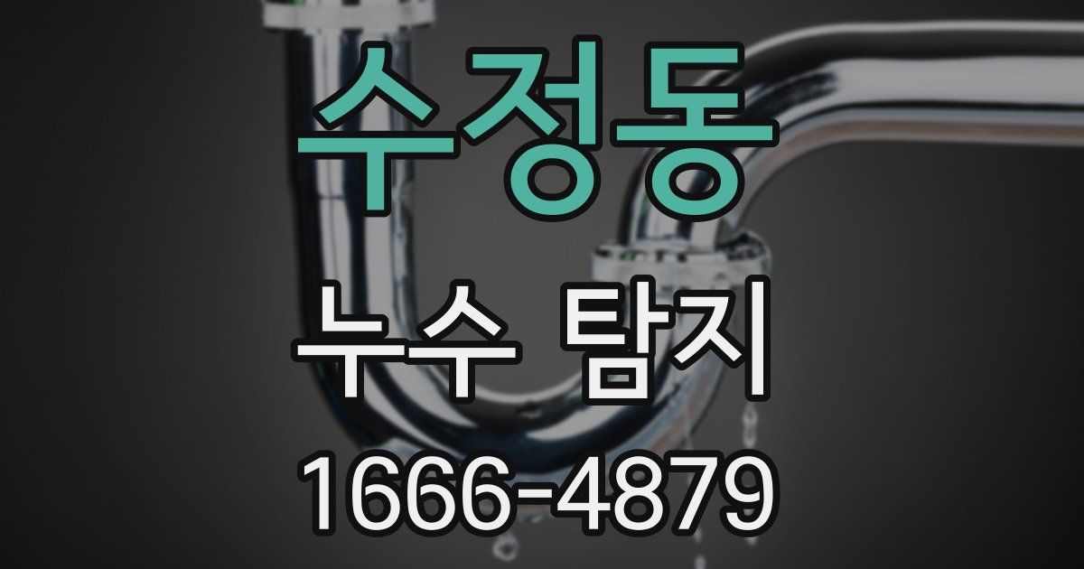 수정동 누수 탐지