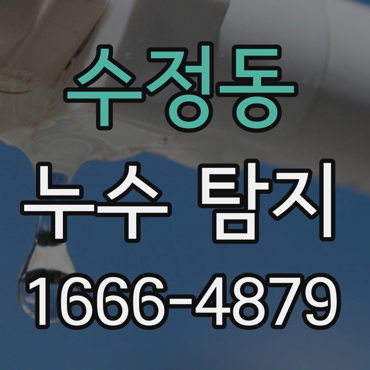 수정동 누수 탐지