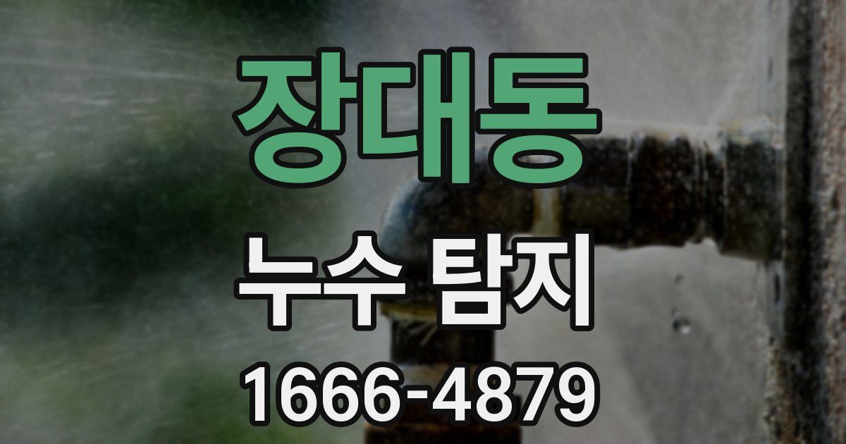 장대동 누수 탐지