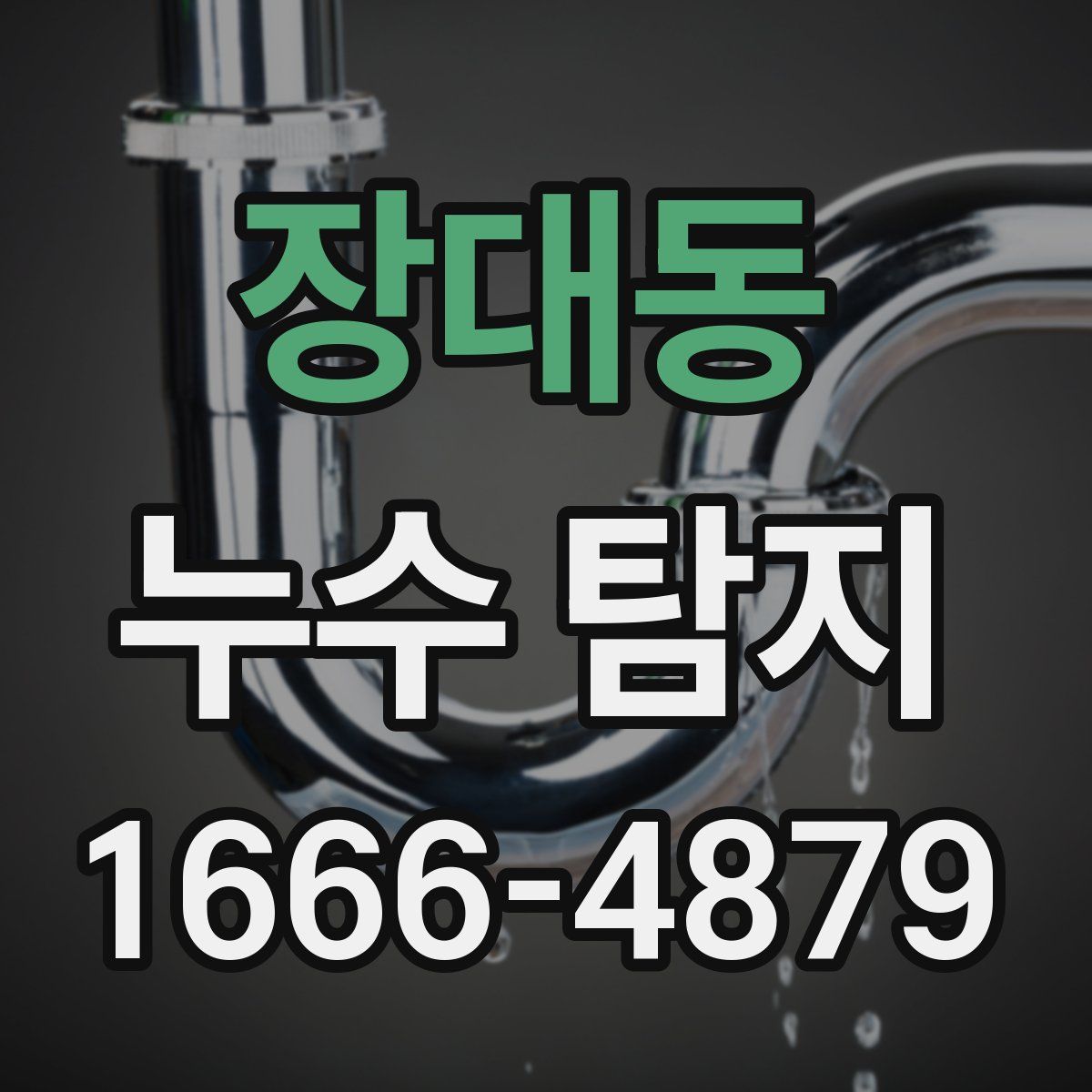 장대동 누수 탐지