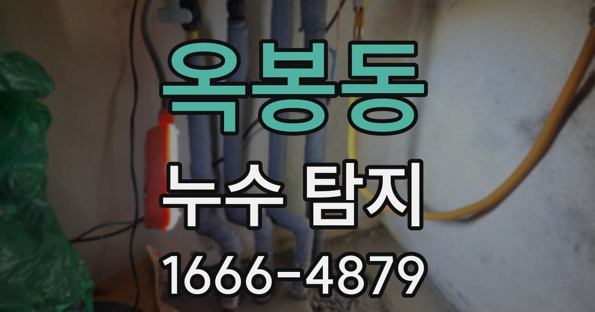 옥봉동 누수 탐지