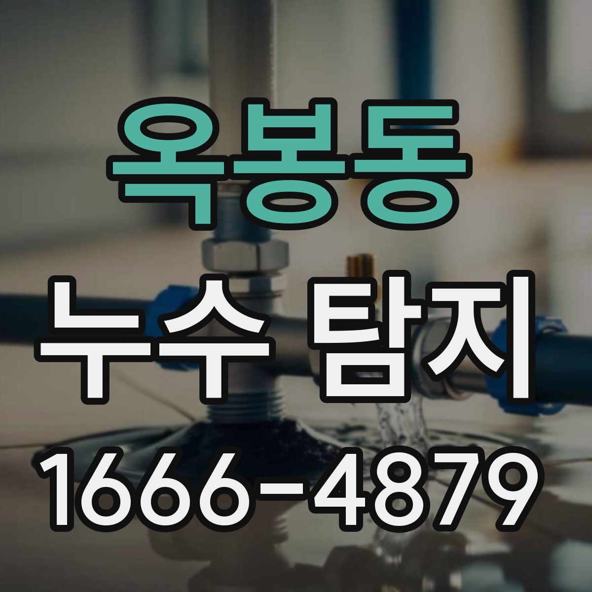 옥봉동 누수 탐지
