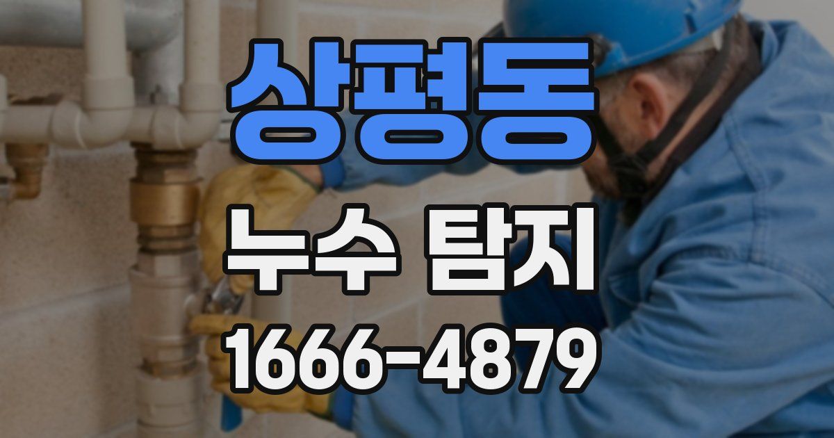 상평동 누수 탐지