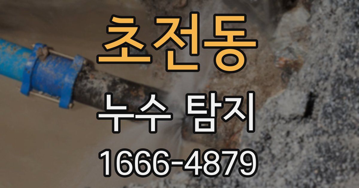 초전동 누수 탐지