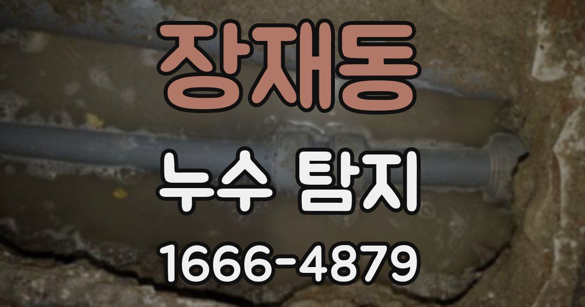 장재동 누수 탐지