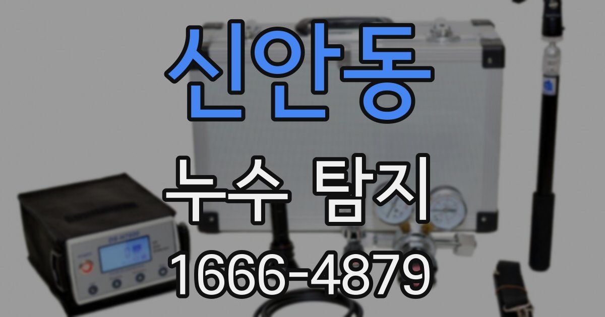 신안동 누수 탐지