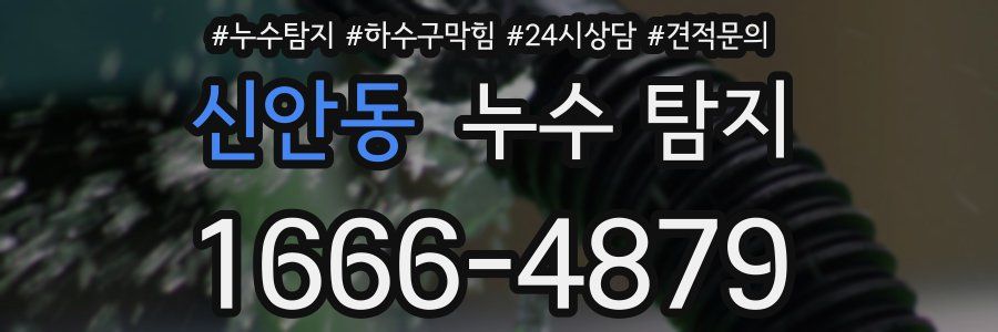 신안동 누수 탐지