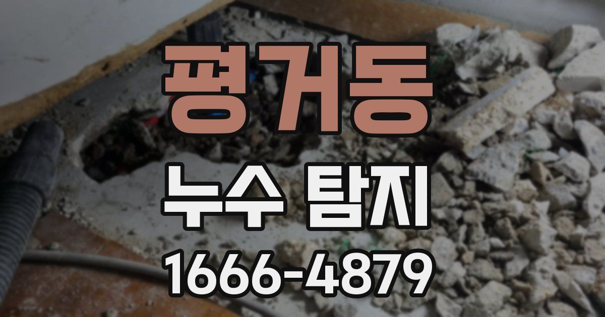 평거동 누수 탐지
