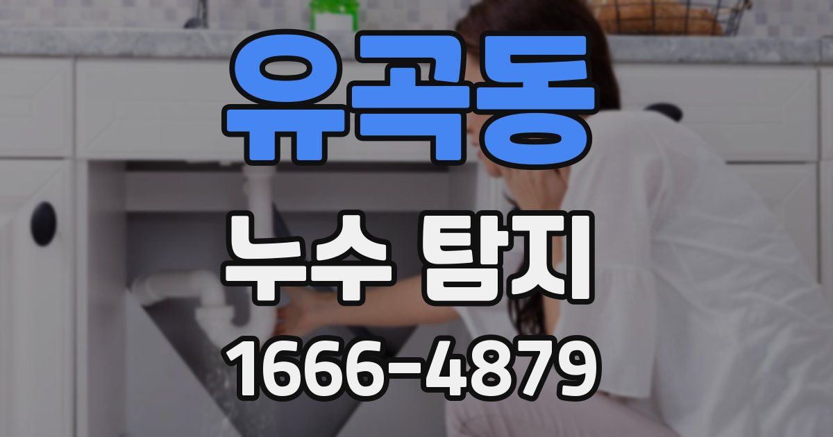 유곡동 누수 탐지