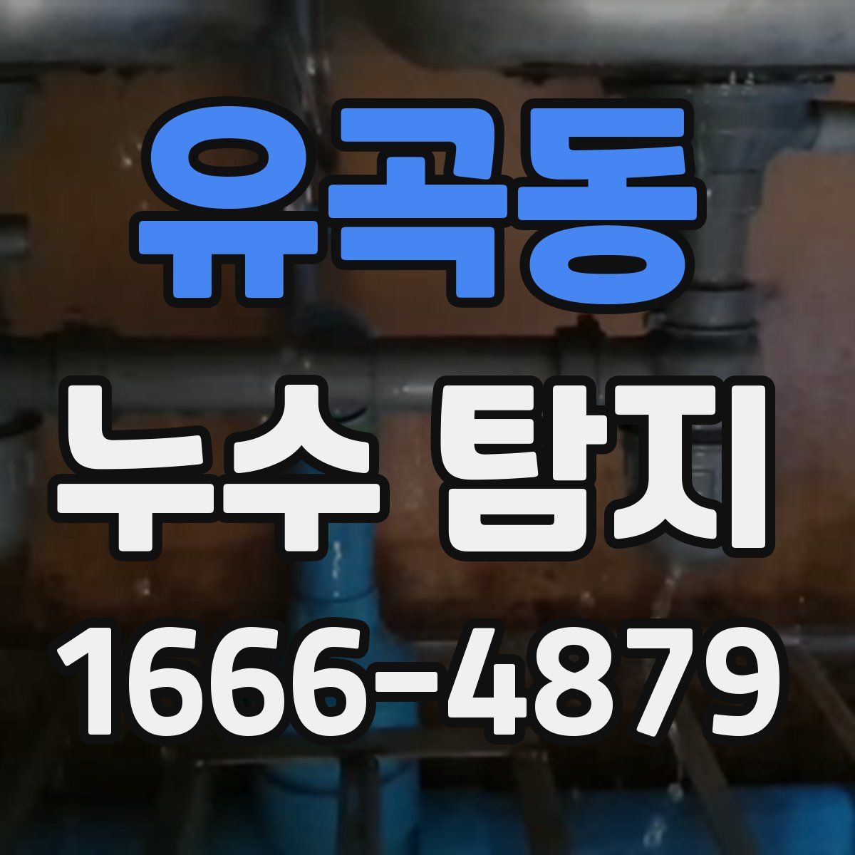 유곡동 누수 탐지