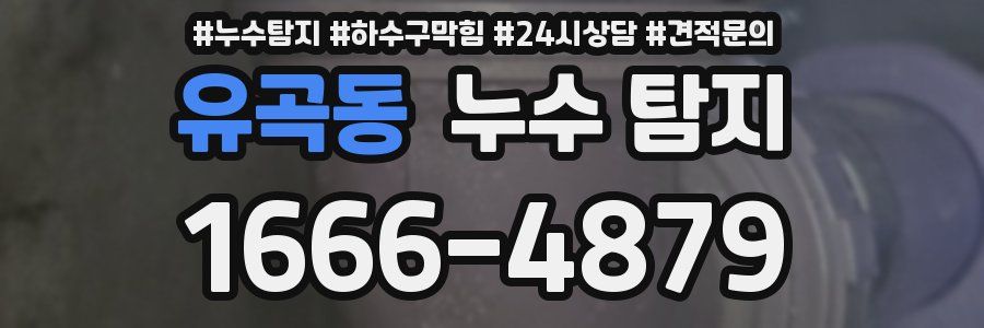 유곡동 누수 탐지