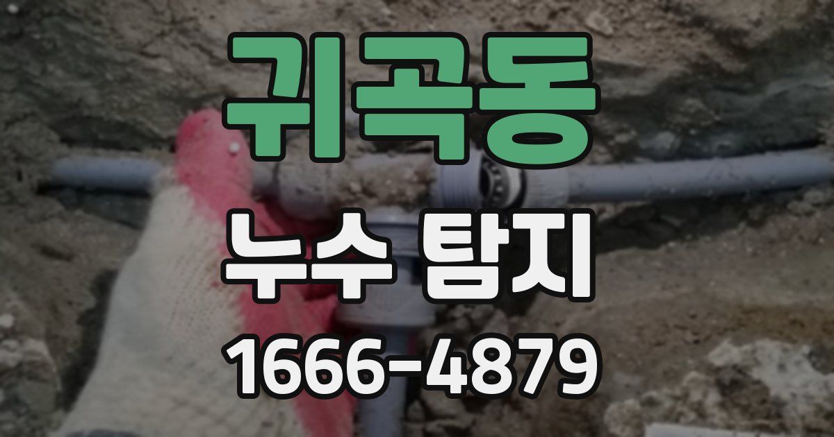 귀곡동 누수 탐지