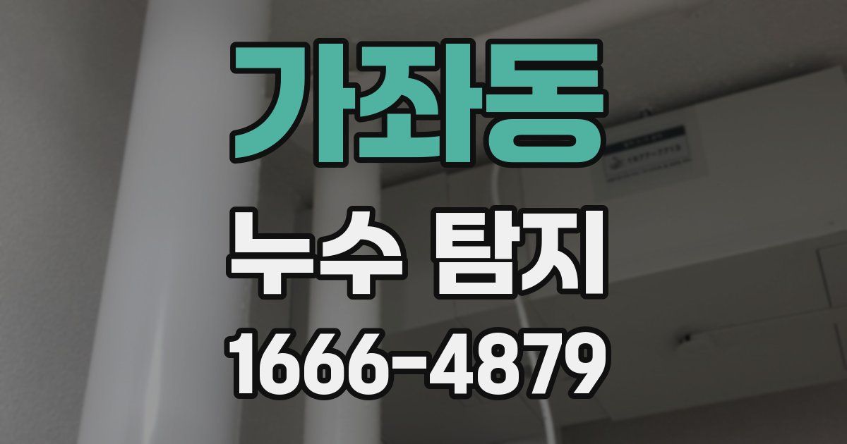 가좌동 누수 탐지
