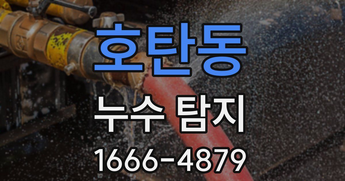 호탄동 누수 탐지