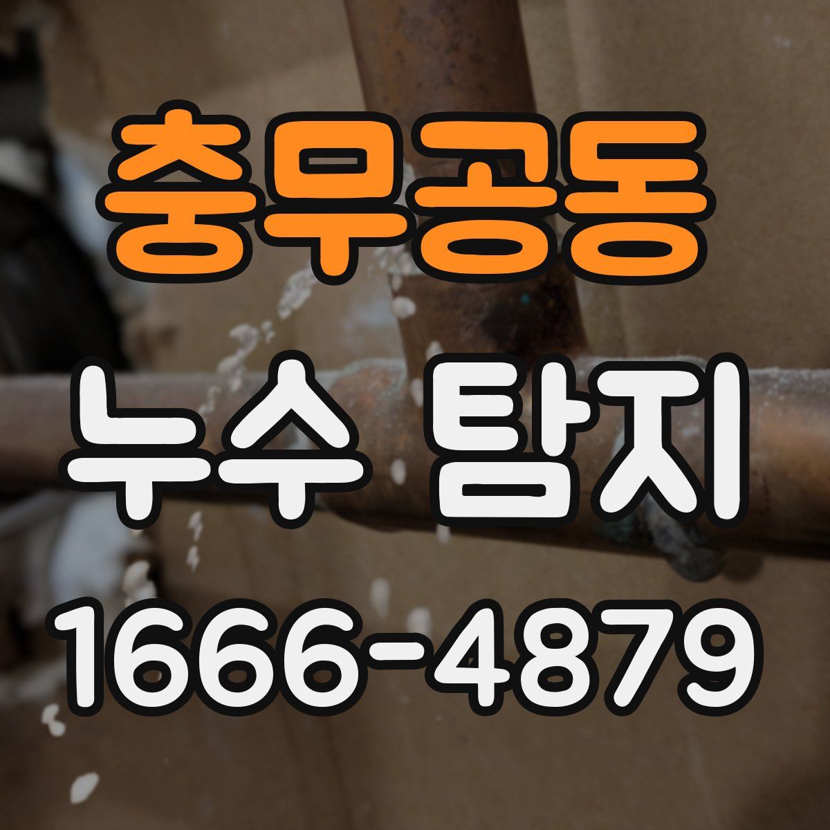 충무공동 누수 탐지