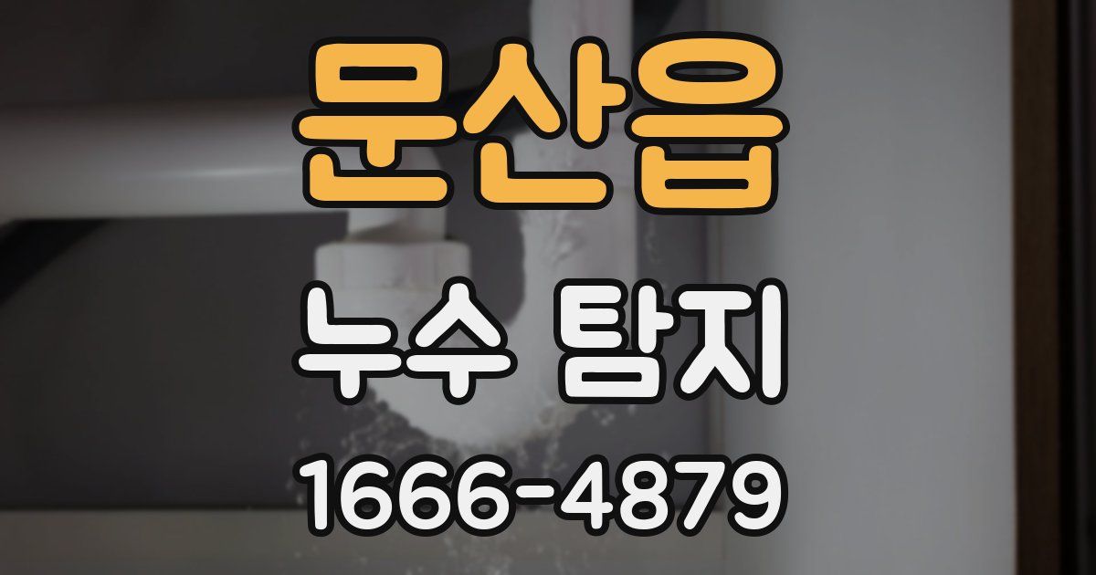 문산읍 누수 탐지