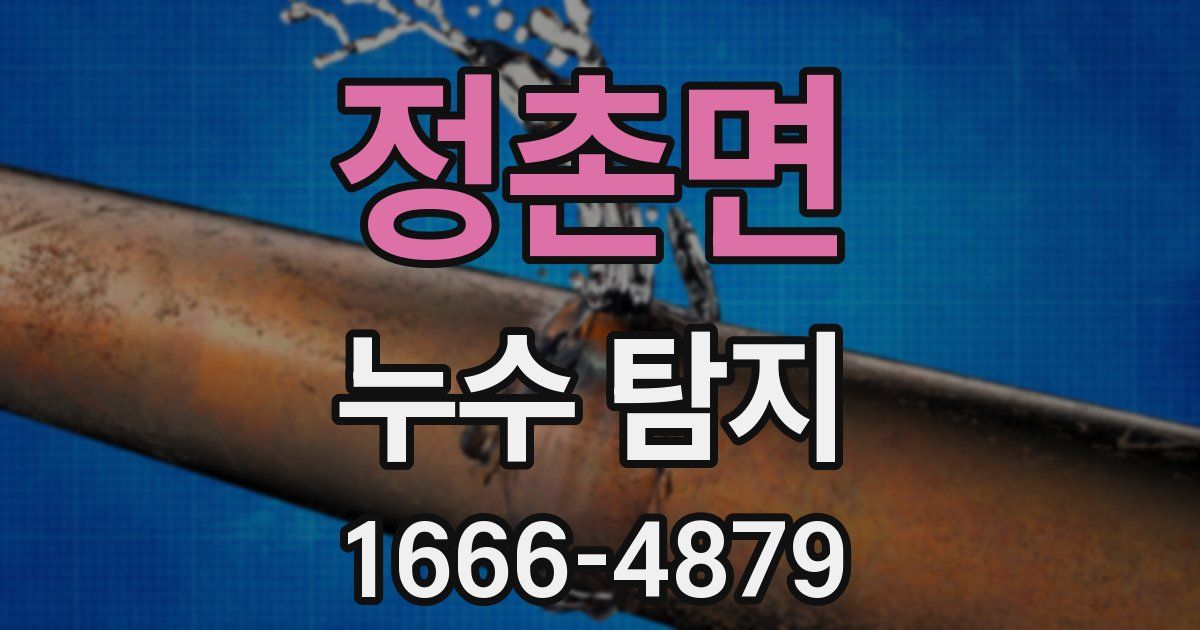 정촌면 누수 탐지