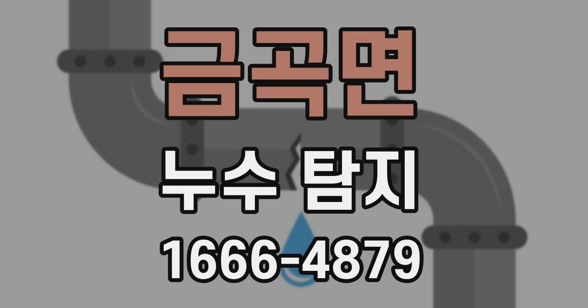 금곡면 누수 탐지