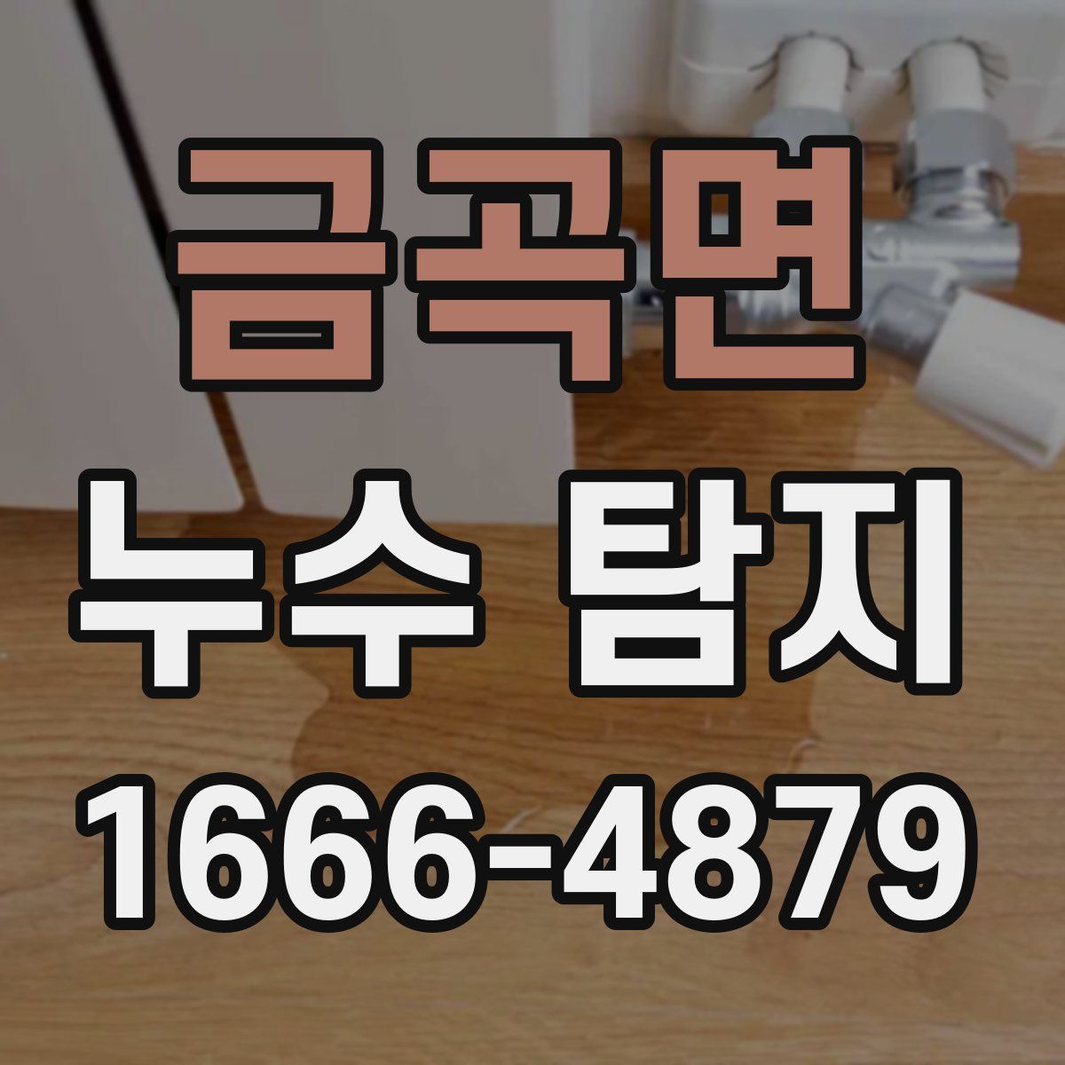 금곡면 누수 탐지