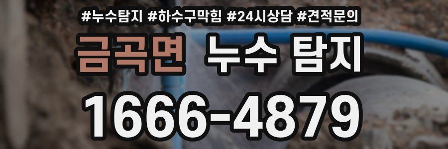 금곡면 누수 탐지