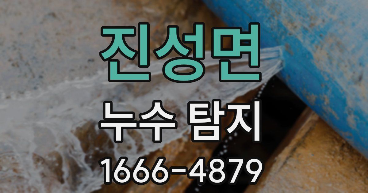 진성면 누수 탐지