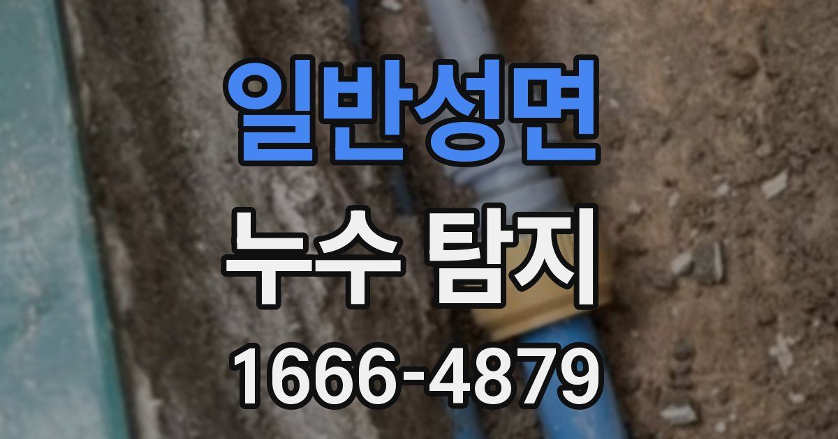 일반성면 누수 탐지