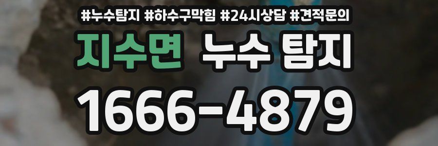 지수면 누수 탐지