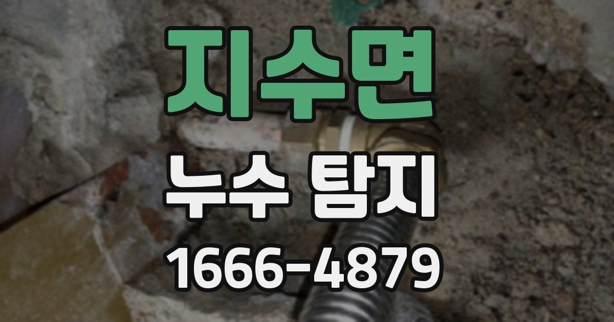 지수면 누수 탐지
